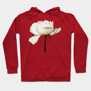 White Peony Pink Background Hoodie